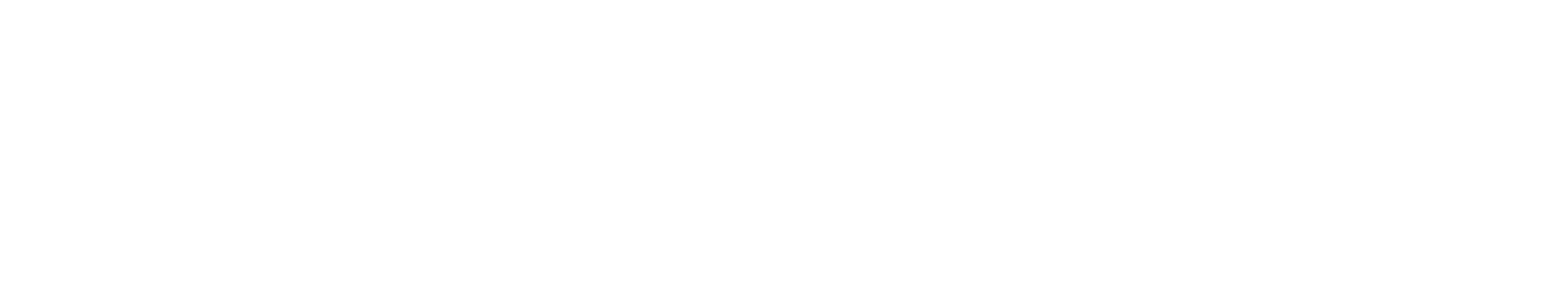 VidnPix